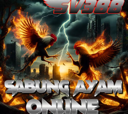 sabung ayam online terbaru
