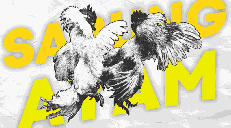 Mengenal Tradisi Sabung Ayam