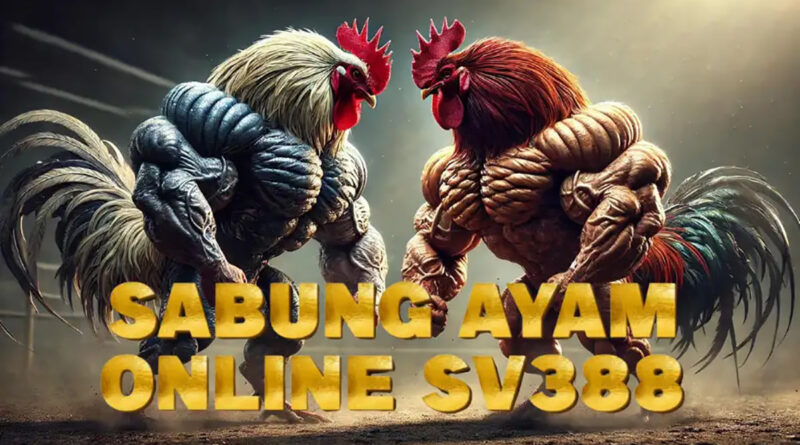 Strategi Modal Sabung Ayam
